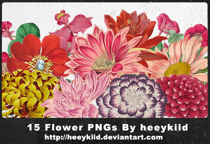 http://fc09.deviantart.net/fs70/i/2011/083/1/f/15_flower_pngs_by_heeykiid_by_heeykiid-d3cc991.png