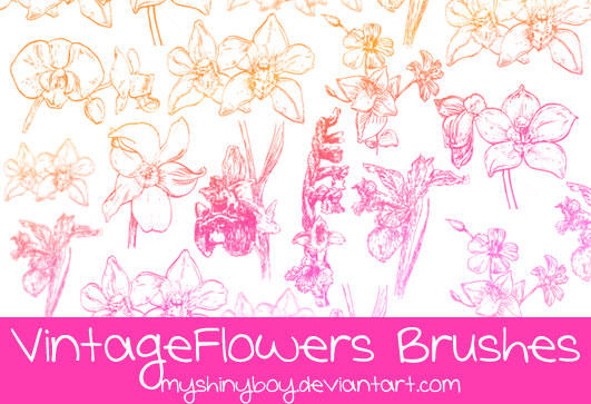 Vintage Flowers Brushes