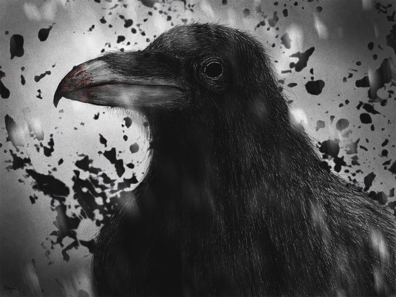 Black Crow by RuslanKadiev on DeviantArt