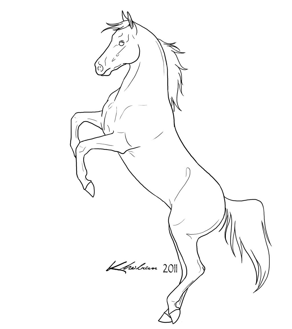 saddle club coloring pages - photo #17