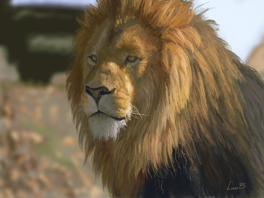 [Image: lion_study_by_lucas_ps-d4w46rj.jpg]