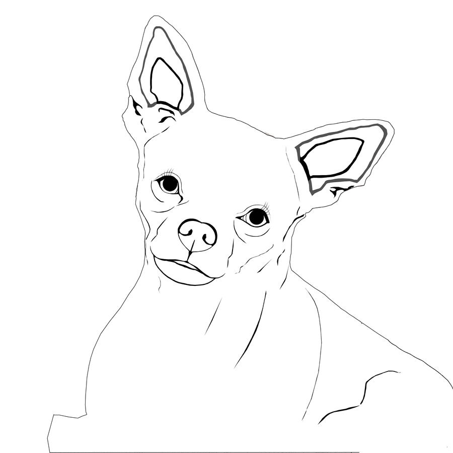 teacup chihuahua coloring pages - photo #8