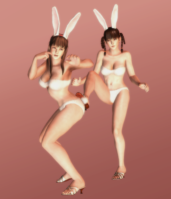 hitomi_and_leifang___cheeky_bunnies___09_by_hentaiahegaolover-d5s5dfw.png