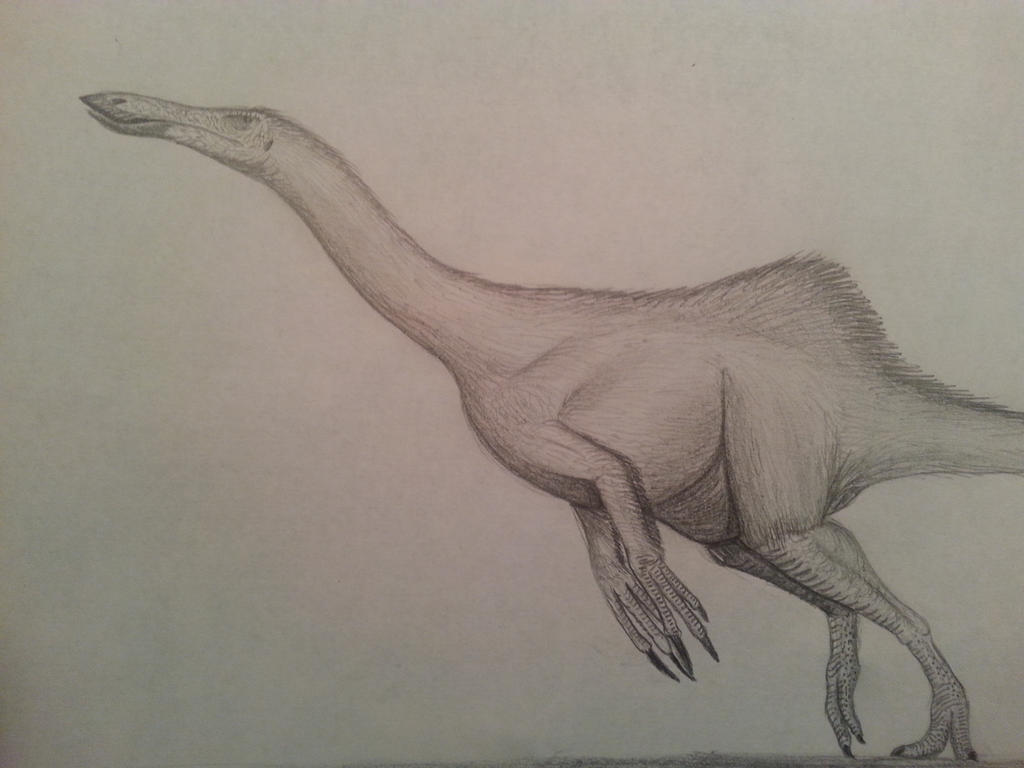 deinocheirus_mirificus__by_spinosaurus1-d81ctfn.jpg