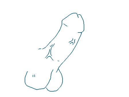 Drawing Of Penis 24