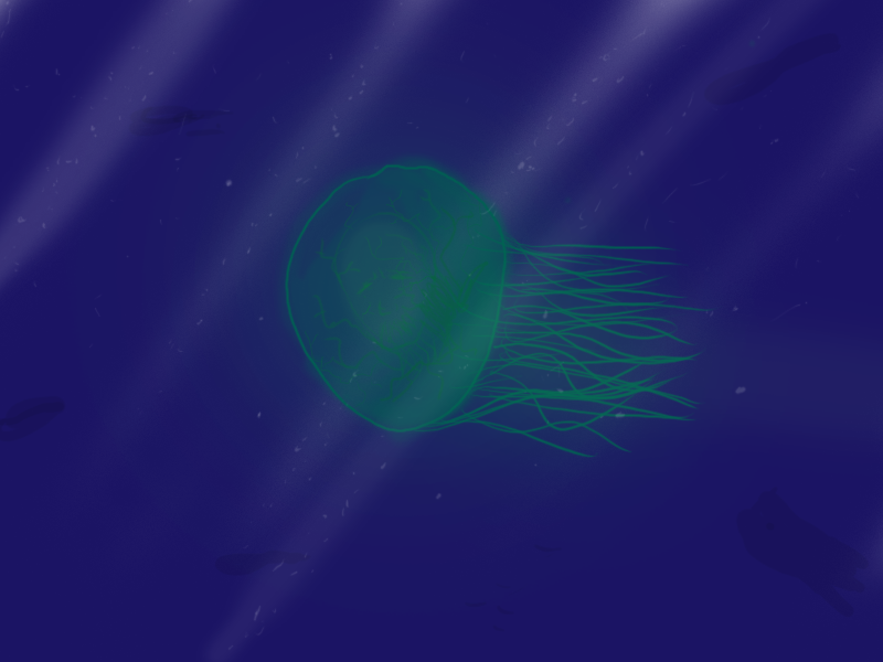 Jellyfish_by_ArfJason.png