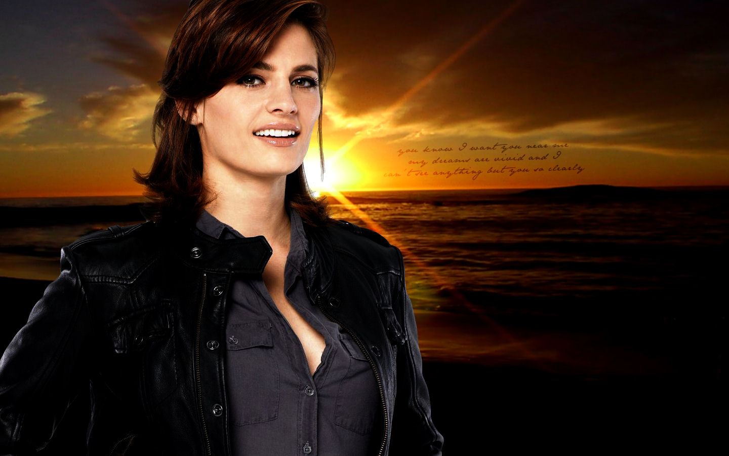 Detective_Kate_Beckett_Sunset_by_michyge