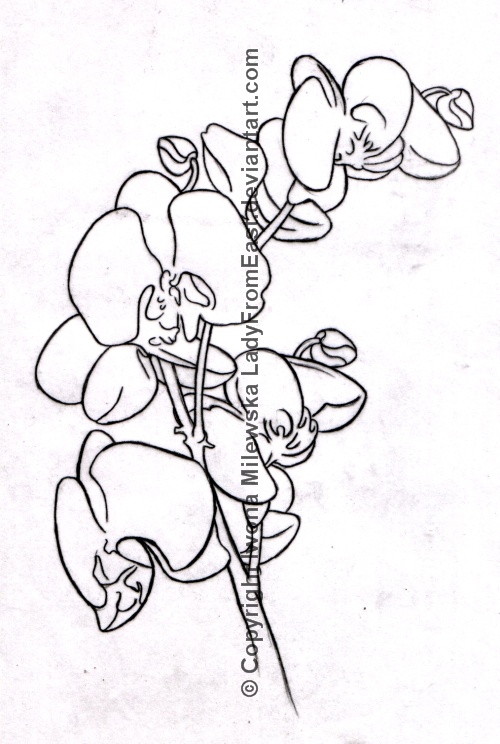 Orchid tattoo design | Flower Tattoo