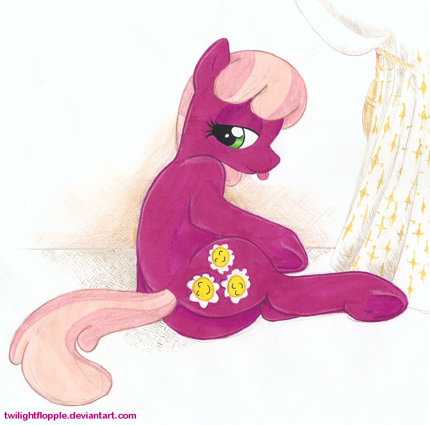 cheerilee__s_photo_shoot_by_twilightflopple-d3e6g73.png