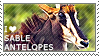 1308216320_i_love_sable_antelopes_by_wishmasteralchemist-d26757e.png