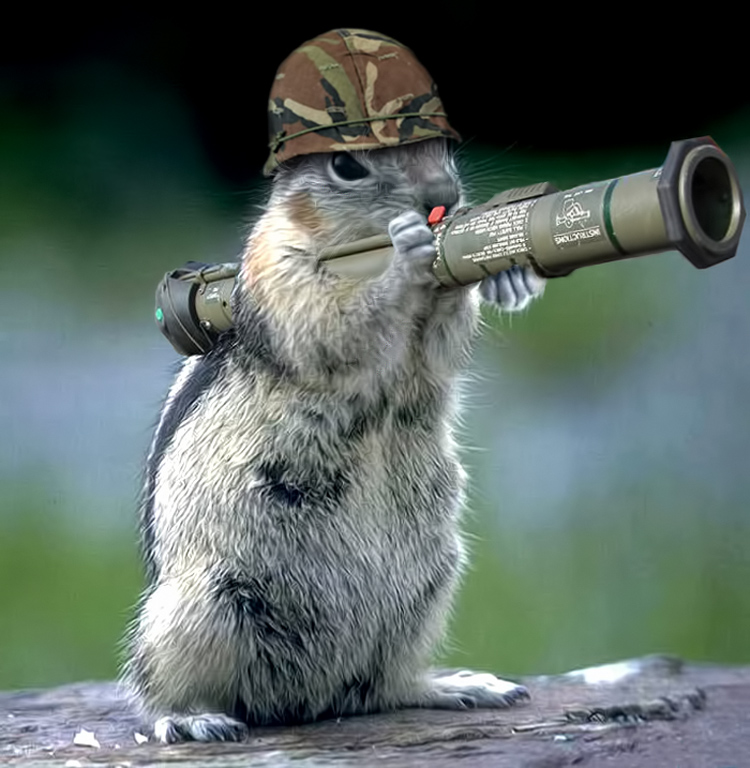 bazooka_squirrel_by_macwithfries-d5asmwl