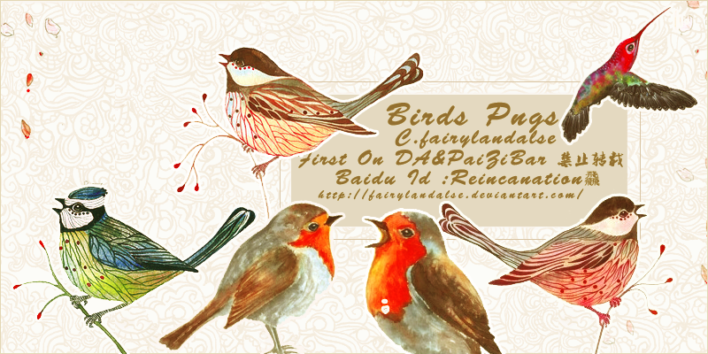 bird pngs by Fairylandalse