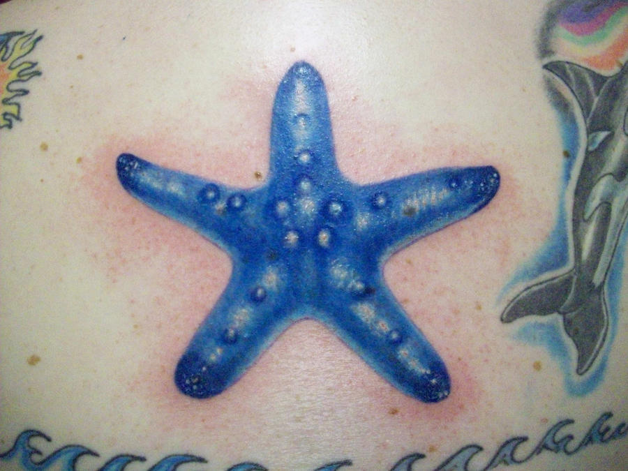 starfish tattoo. starfish tattoos. Starfish