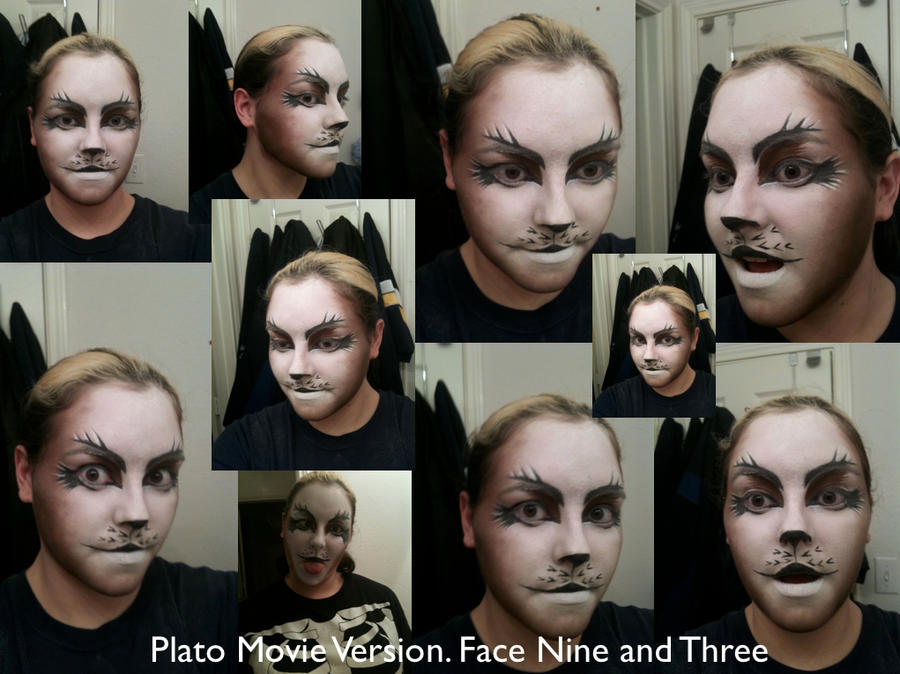 cats makeup. Cats Makeup- Movie Plato by