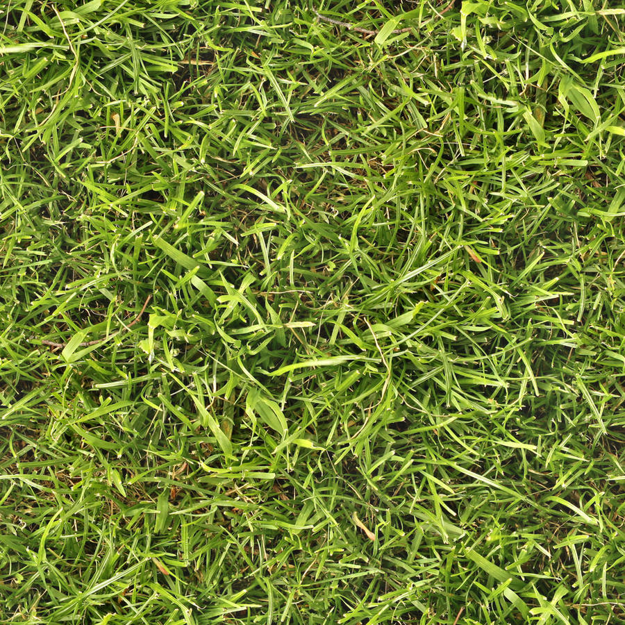 Seamless grass texture by hhh316 on DeviantArt