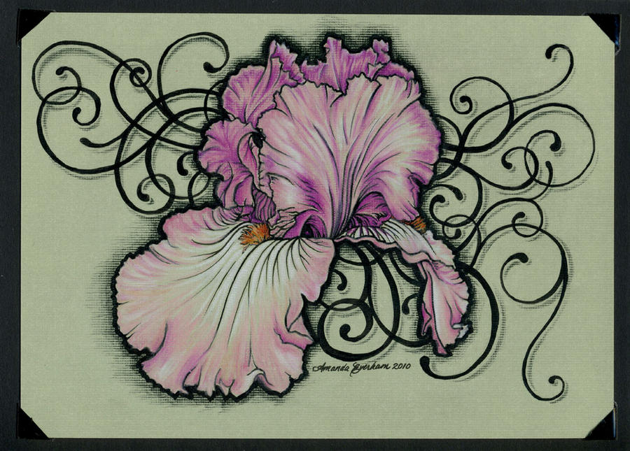 Iris Tattoo Card by MEverham on deviantART