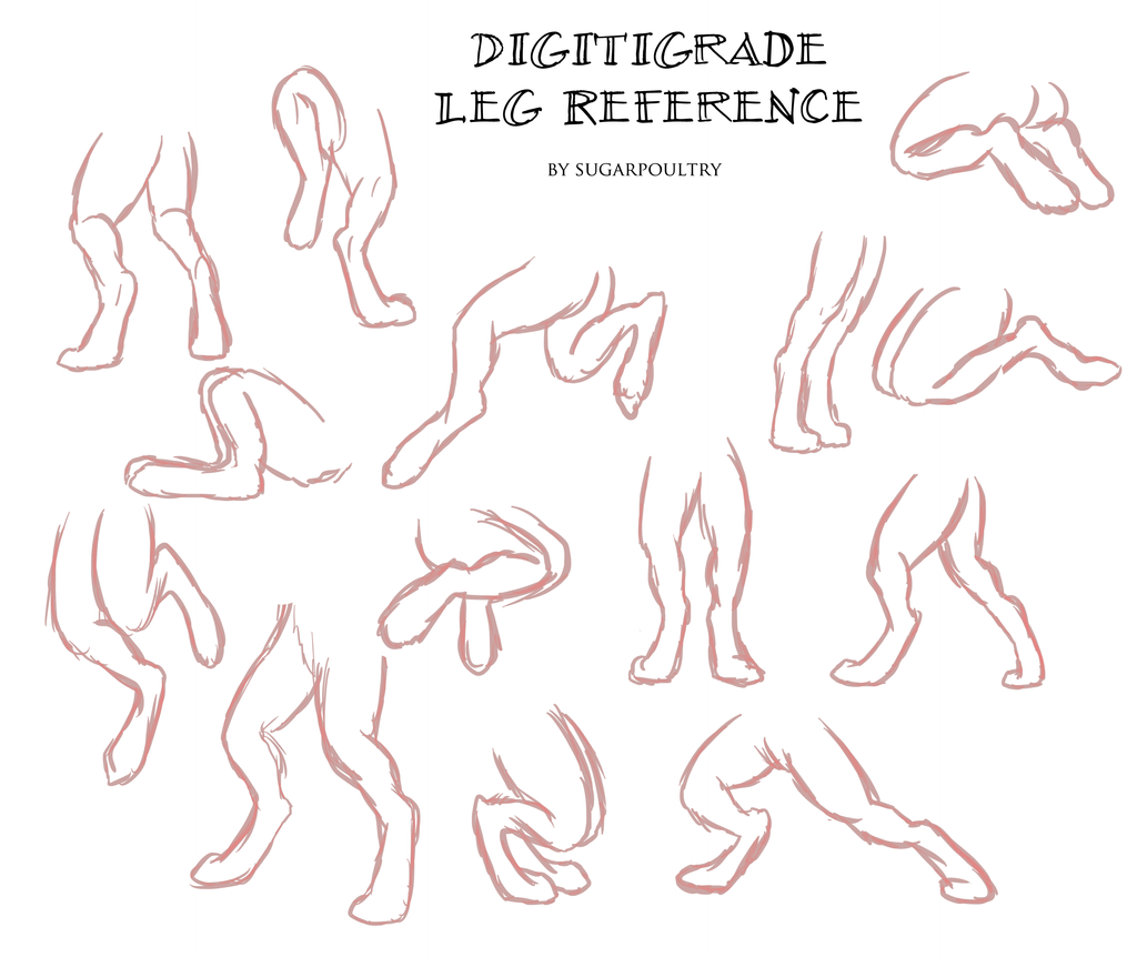 digitigrade_leg_reference_by_sugarpoultry-d2ytip9.png