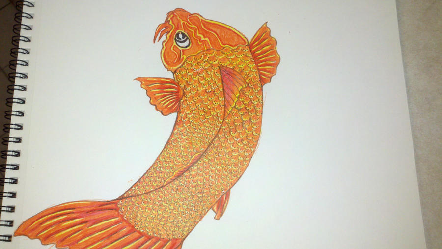 koi fish tattoo by DecoderRing on deviantART