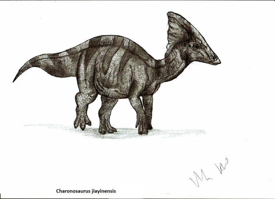 Charonosaurus jiayinensis by Teratophoneus