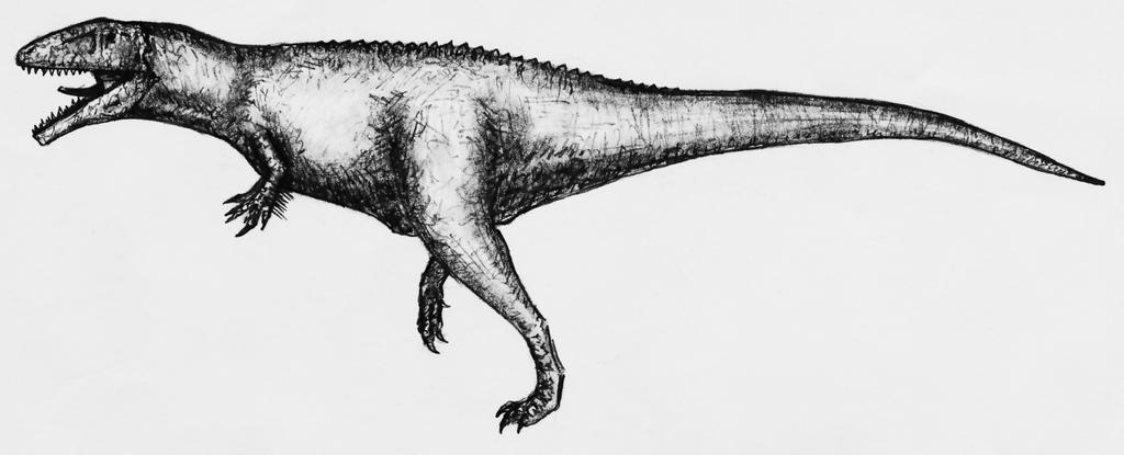 carcharodontosaurus_saharicus_by_theropod1-d65schh