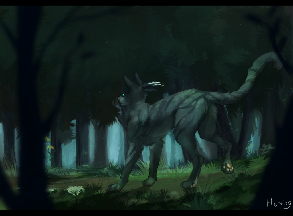 http://fc09.deviantart.net/fs71/i/2013/215/7/7/jayfeather_by_hioming-d6gg3ra.png