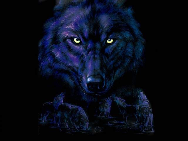 night-wolf-2769 (night wolf) - DeviantArt