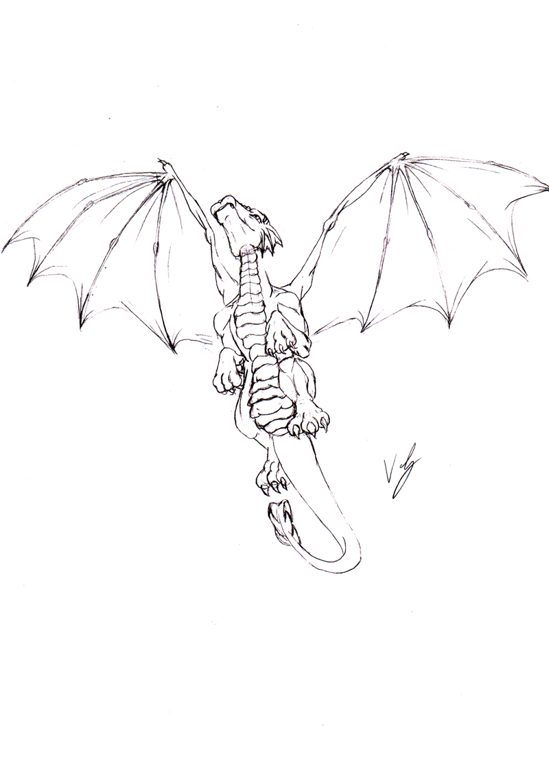 Flying Dragon sketch by DizzyVix on DeviantArt
