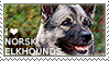 I love Norwegian Elkhounds by WishmasterAlchemist