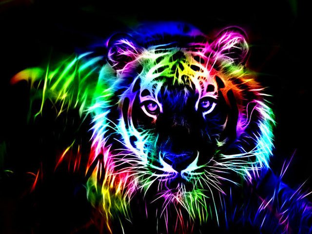 Rainbow Tiger by Fizzy-Sprite on DeviantArt