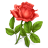 lil rose by AudraMBlackburnsArt