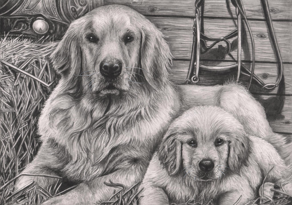 [Obrázek: _dog_and_puppy__graphite_drawing_by_pen_...622mgs.jpg]