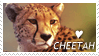 *|.Cheetah Stamp.|* by AzureGriffin