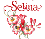 SELINA by KmyGraphic