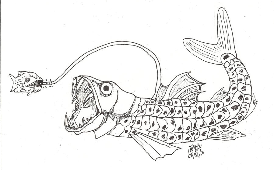 labeled diagram viper fish coloring pages - photo #34