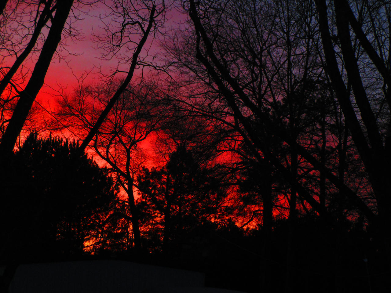 sunset colors of January by HomeOfBluAndshadows on DeviantArt